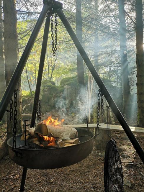 Glamping Lofoten Hotel Kongsjorda Bagian luar foto