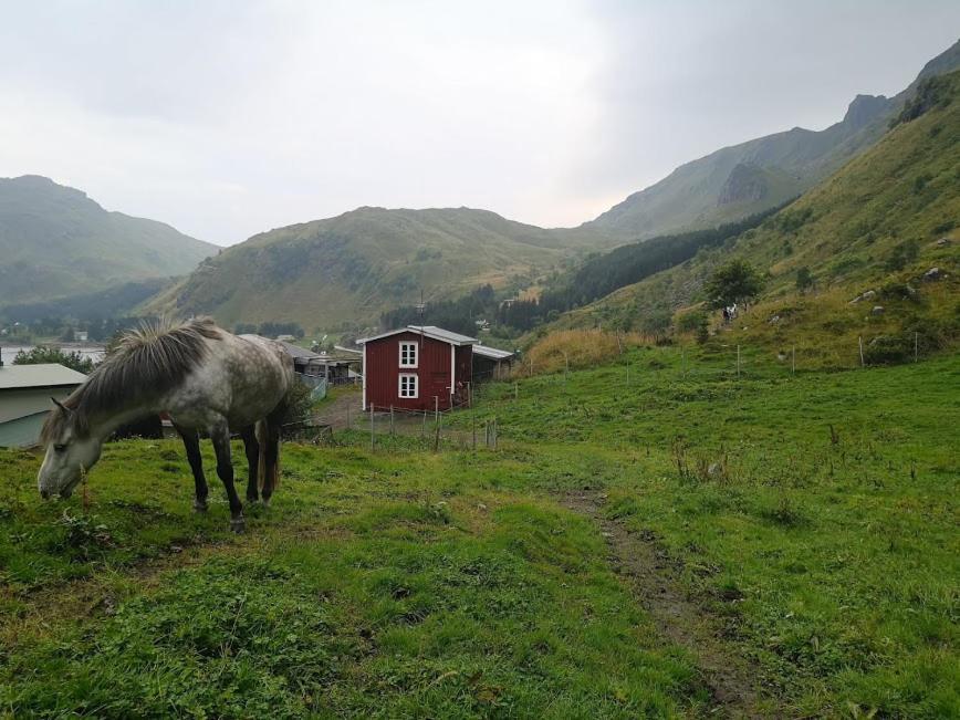 Glamping Lofoten Hotel Kongsjorda Bagian luar foto