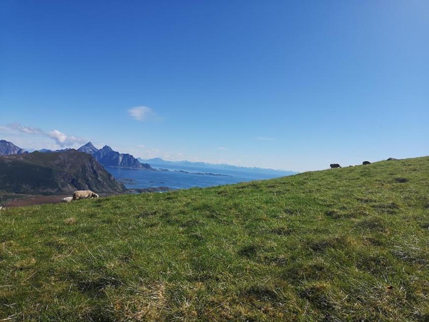 Glamping Lofoten Hotel Kongsjorda Bagian luar foto